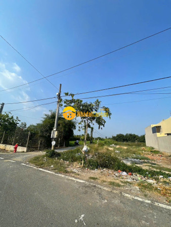 9237903_uZiOdtcR5s_1778742057.jpg