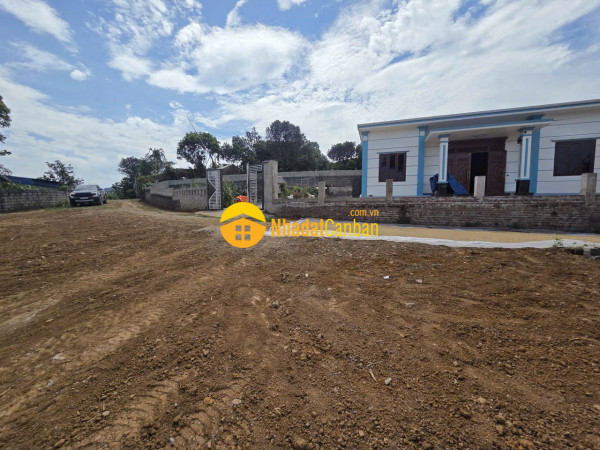 9237995_5h0F83MJKs_1778813482.jpg