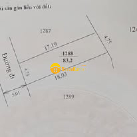 9238000_BfpmwJ57NL_1778815254.jpg
