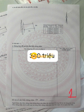 9238098_UNSKJzkA78_1778906909.jpg