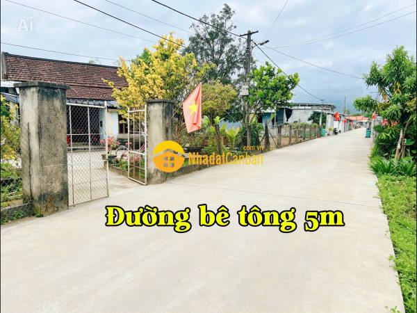 9238699_iDUgn3ATFo_1779333618.jpg