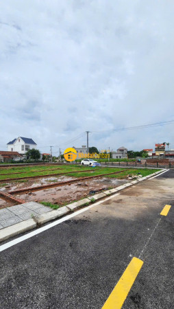 9239127_cnLs4KtwjI_1779694767.jpg