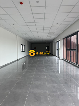 9239352_iLbC6Pzkoy_1779871810.jpg