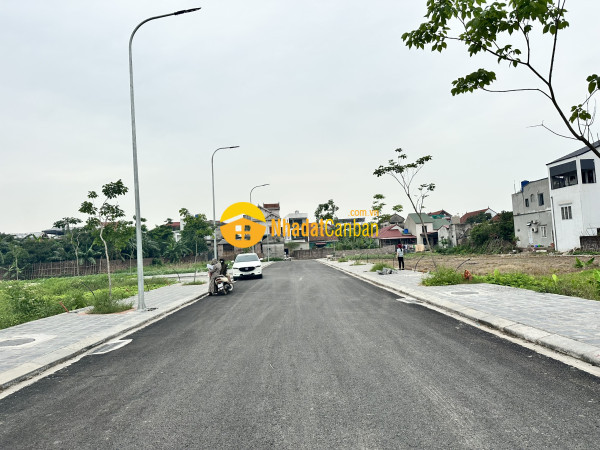 9239841_gCONaYkAvt_1780372605.jpg