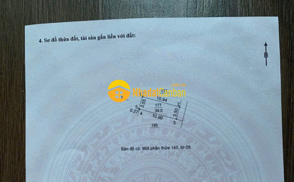 9239960_G3jnBp1vEJ_1780472433.jpg