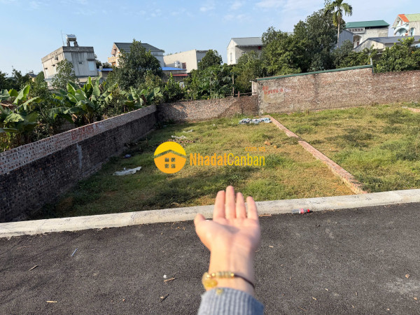 m_GNRZOsefPJ_1781842505.jpg
