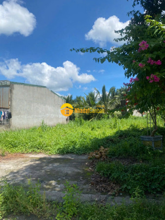 9241577_tiBv0fScbd_1782117331.jpg