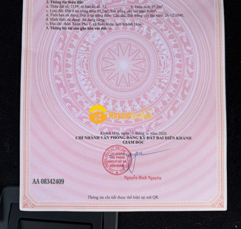 9241973_BFkd26rGtj_1782462650.jpg