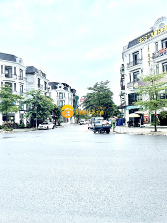 9242054_xM1aDvk8RN_1782549291.jpg