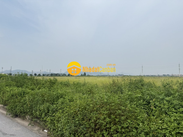 m_UxYq2Id5Km_1783410841.jpg