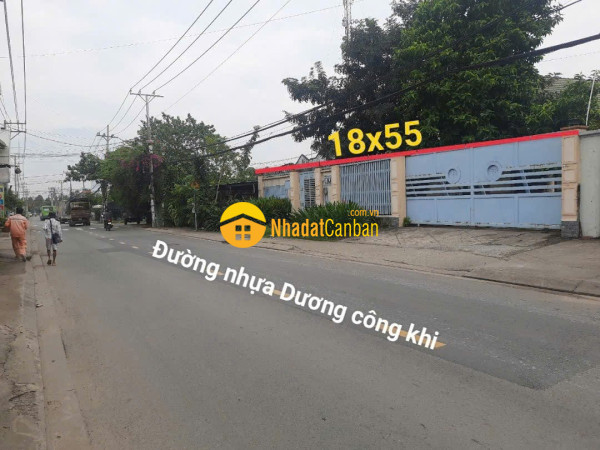 m_ixo5P0vAgd_1783402864.jpg