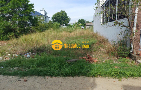 9243150_Kbr3kYp2Bx_1783596205.jpg