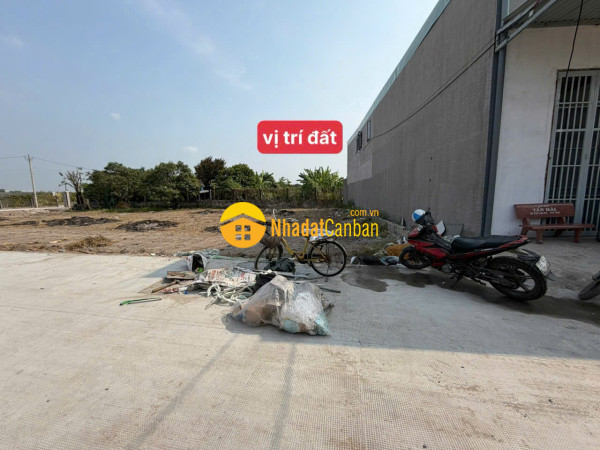 9243419_wh0VQjfoUI_1783921010.jpg