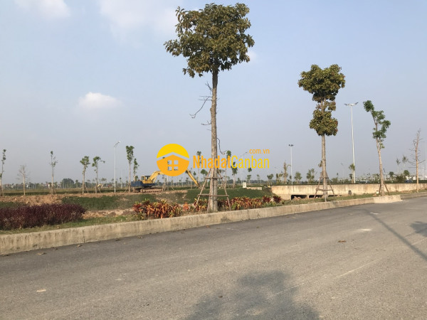 m_oPb3vm6Otq_1784189568.jpg