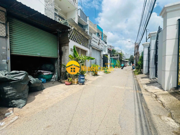 9244287_sSvw0CW1XP_1784785352.jpg