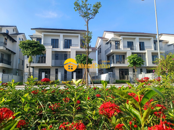 9244746_EvaFz9TViC_1785204654.jpg