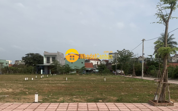 9245470_zAemguaM63_1785905994.jpg