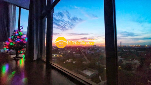 9245497_laBYkovKnG_1785920748.jpg