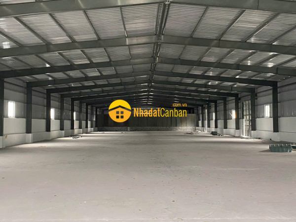m_AqQvI923KR_1785980339.jpg