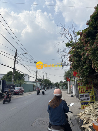 9245690_VDmHlpY2JP_1786154993.jpg