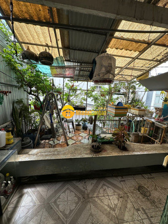 9246608_a7dhr1OIGp_1787056653.jpg