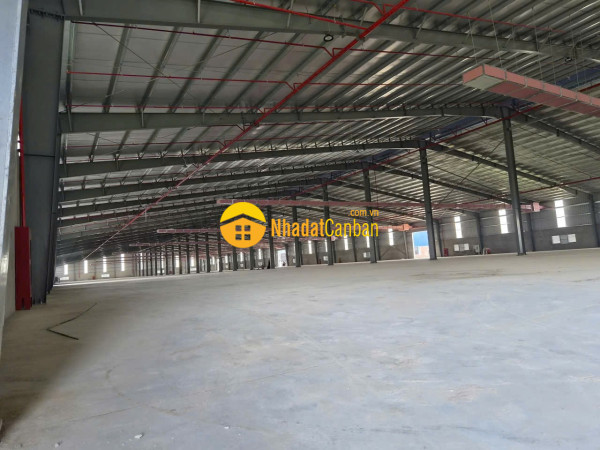 m_c9dR5WHAra_1787132659.jpg
