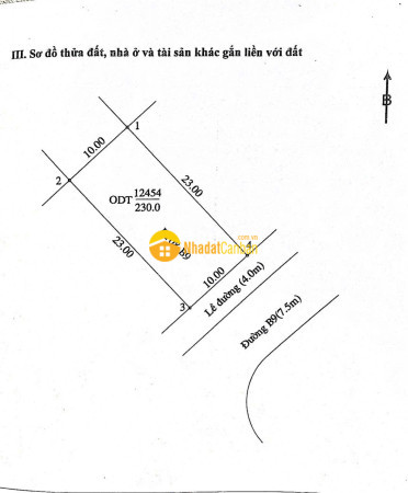 9246811_AyOlIdJhtH_1787285083.jpg