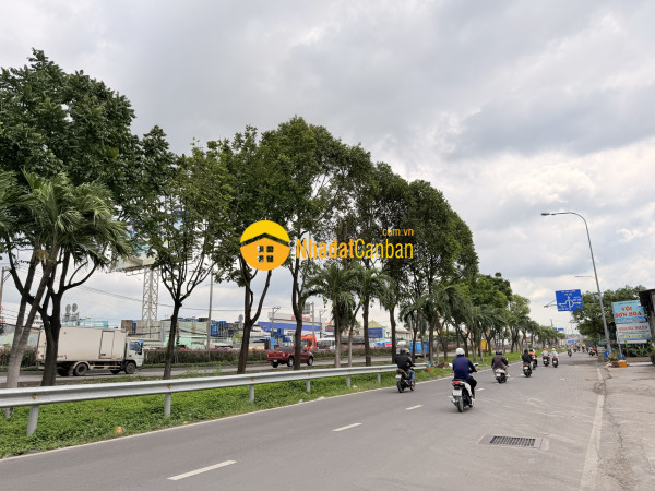 m_16t9MuTAPS_1787631610.jpg