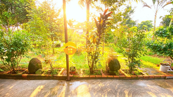 9247287_L9N5liSxek_1787893893.jpg