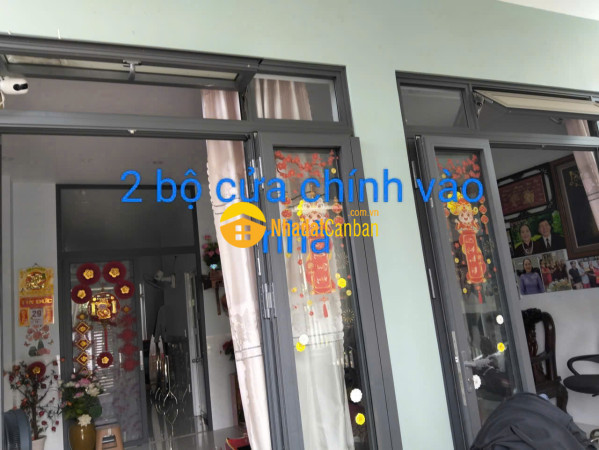 9247551_nrB7dftQ2y_1788486146.jpg