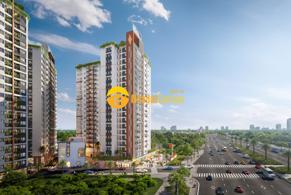 m_mPyMVY1fT0_1788496626.jpg