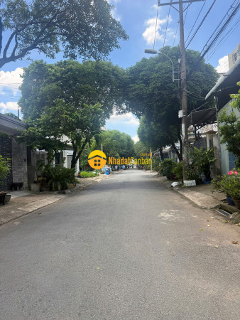 9248718_FSYahiUZj0_1789973873.jpg