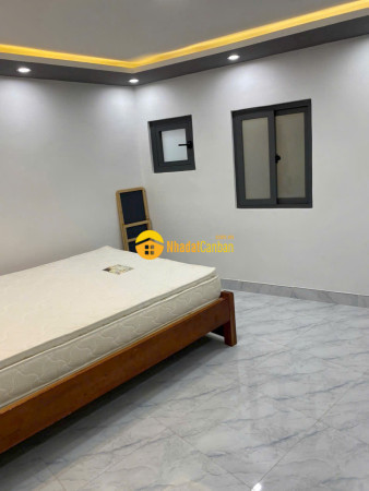 9249229_UqEIB9kReV_1790586898.jpg