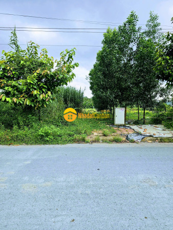 9250126_nBoC5IHfwj_1791796677.jpg