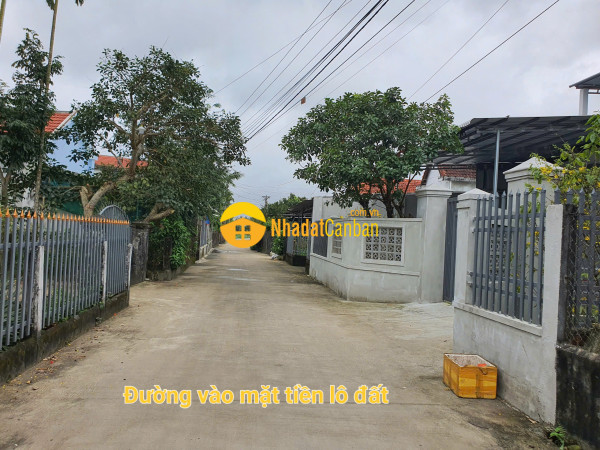 m_ibswN31IYT_1791789297.jpg