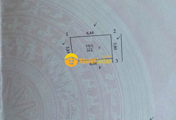 9250274_o6rcZyhYmI_1791972616.jpg