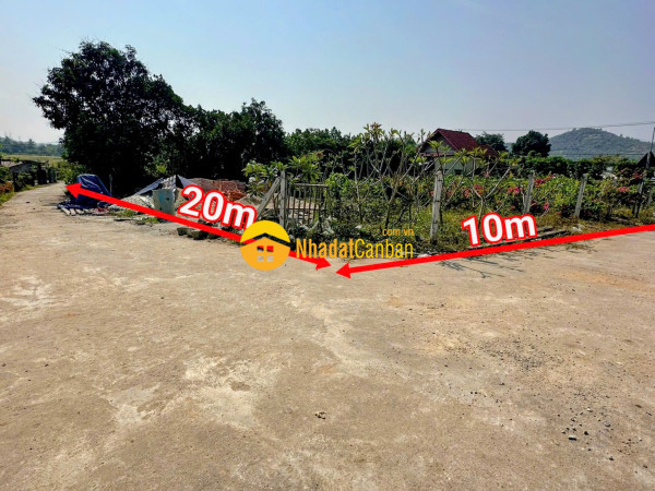 m_SlOdzscgx1_1792153227.jpg