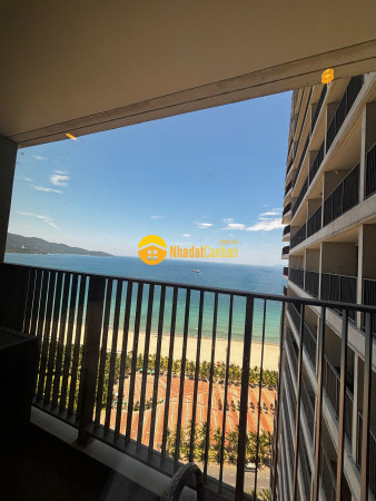 9250717_A8TzwUyi9C_1792558302.jpg