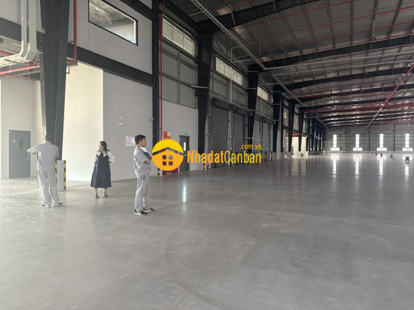 9250731_FwkJyOPUnb_1792567638.jpg