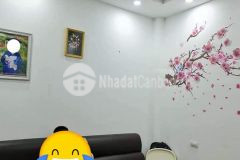 Bán gấp nhà phố tứ hiệp, 6m ra mặt phố, ô tô đỗ cửa, 4 ngủ, nhà rất mới, ở luôn.