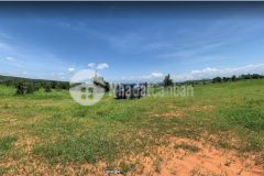 Bán 7500m2 đất nông nghiệp hoà thắng cách đường nhựa dt 716 và liên huyện 500m lh 0938677909 hiền