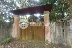 Qua re, gia đâu tư, nha xương, nghi dương, 4000 m2 lương sơn, hoa binh.