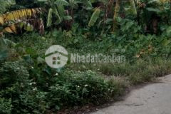 Bán đất gia vượng, gần trung tâm chính trị huyện gia viễn.