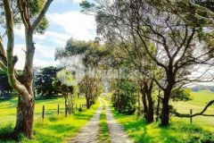 Lô đất 2ha giá 80 nghìnm2, mặt tiền đường, hồng thái, bắc bình