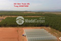 Đât binh thuân chi 65 nganm2. gân đương nôi tinh. đon đâu cao tôc sinh lơi.