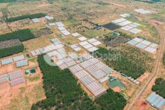 Đầu tư đất nông trại bình thuận đón đầu cơ sở hạ tầng và các dự án biển nova world...