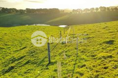 Cần bán lô đất xã hồng thái bình thuận giá ưu đãi