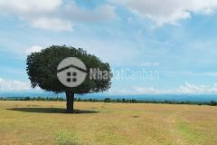 Đất vườn ven biển bình thuận giá chỉ từ 75km