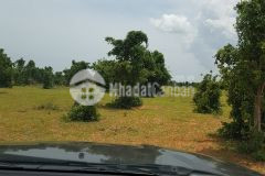 Bán 2126m2 đất nông nghiệp hồng thái gần đường liên huyện chỉ 233,8 triệu lh 0938677909 hiền