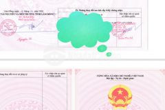 Bán nhanh 01 lô duy nhất 390 triệu, sổ riêng, đường 7m gần ql20, gần cao tốc liên khương prenn